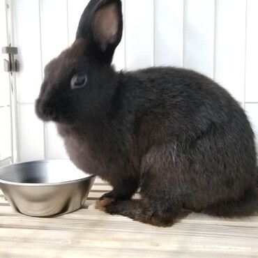成長が早いね