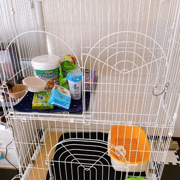 我が家に新しい家族を迎える為の準備です！ 我が家には何故か新品のトイレが4個あります。ここにあるものが猫ちゃんに合わないことがあればその都度合うものに変えていこうと思います^ ^