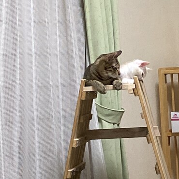 わざわざ狭い場所で