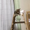わざわざ狭い場所で
