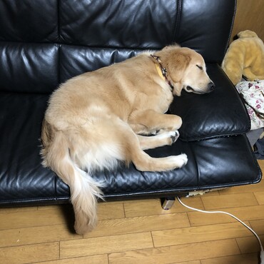 リフレッシュ後は、ぐっすり