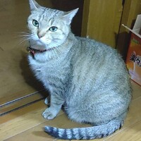 カズちゃん