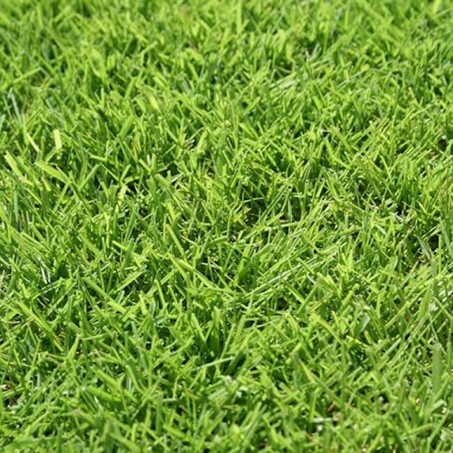 isseiforestmintのカバー写真
