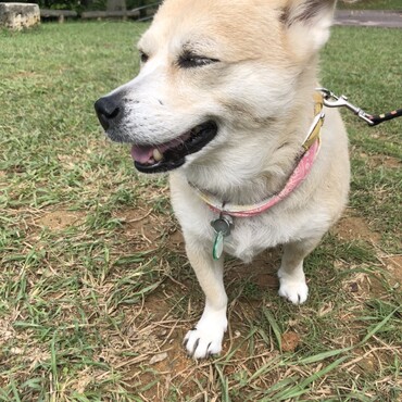 の写真