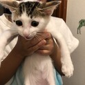 人懐こくてハンサムです