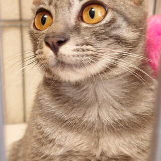 かまってちゃんな白血病のサウス君