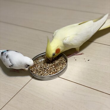 仲良くできそう♡