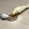 仲良くできそう♡