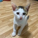 人慣れバッチリ☆とってもかわいいブルーくん