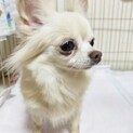とっても良い子♪パッチリお目々の可愛いゆりちゃん！