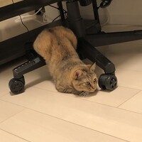 ソラ