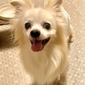 なばり）優しいビビリちゃん♪でもイケメン