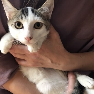 里親決定しました