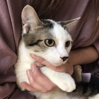 里親決定しました