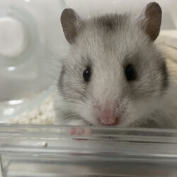 ありがとうございました
