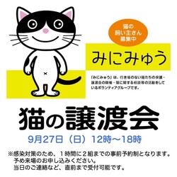 みにみゅう 譲渡会