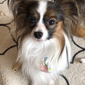 1歳半の男の子