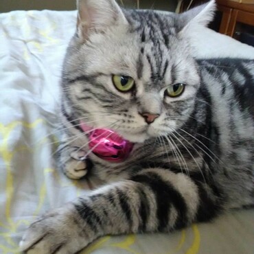 ゾンくんの写真