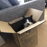 おはぎ