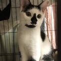 前髪が可愛い男の子ケンちゃん