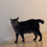 アグさぶ郎