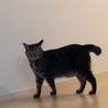 アグさぶ郎