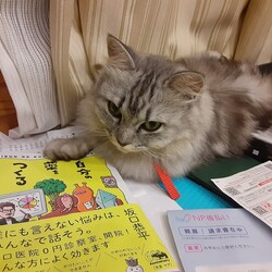 実力行使