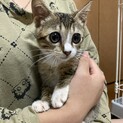 ジェリー君【募集一時停止】