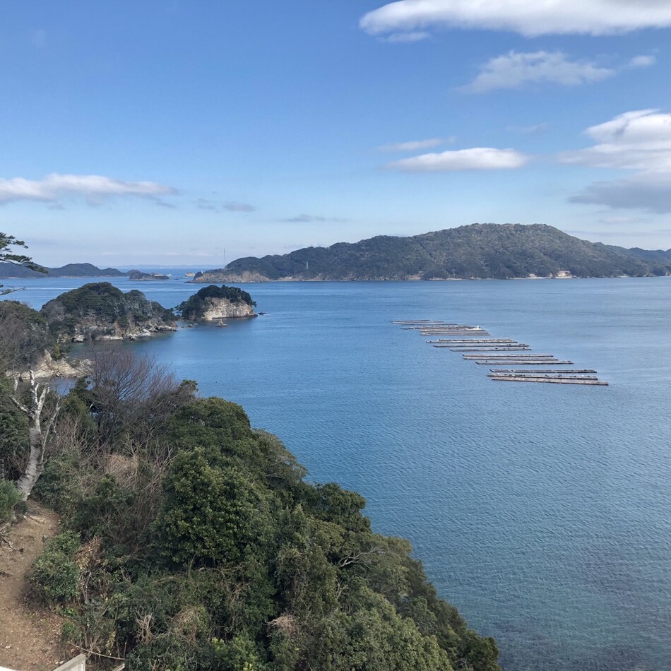 toraのカバー写真