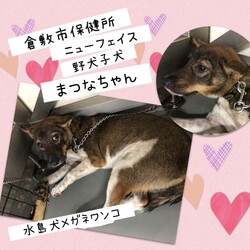 「2020年9月23日の倉敷→全頭譲渡決定！」サムネイル2