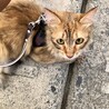 初めての海散歩