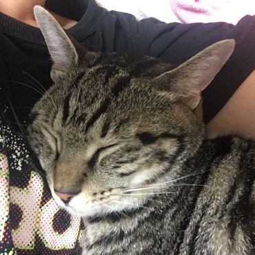 ベッドに誘われて添い寝♡しゅうちゃんに見つかって足を噛まれる海ちゃん…