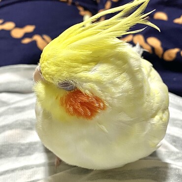 の写真