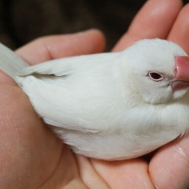 の写真