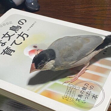 の写真