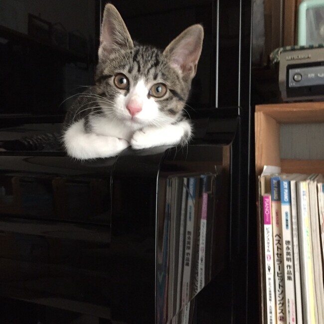 M.Carlyのカバー写真