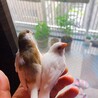 永吉　由実