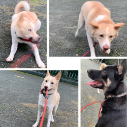 「に、逃げられた?!」サムネイル1