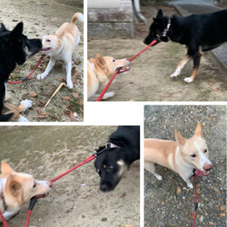 「に、逃げられた?!」サムネイル2