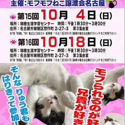 猫の譲渡会　in　名古屋市瑞穂区生涯学習センター