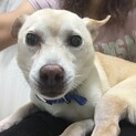 まめた君に家族ができました(^^)