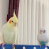 仲良くしようね