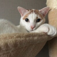 くう