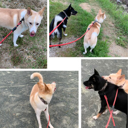 「ヘトヘト(o´Д`)」サムネイル3