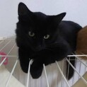 くまちゃん♡しっぽがふんわり人が大好きです