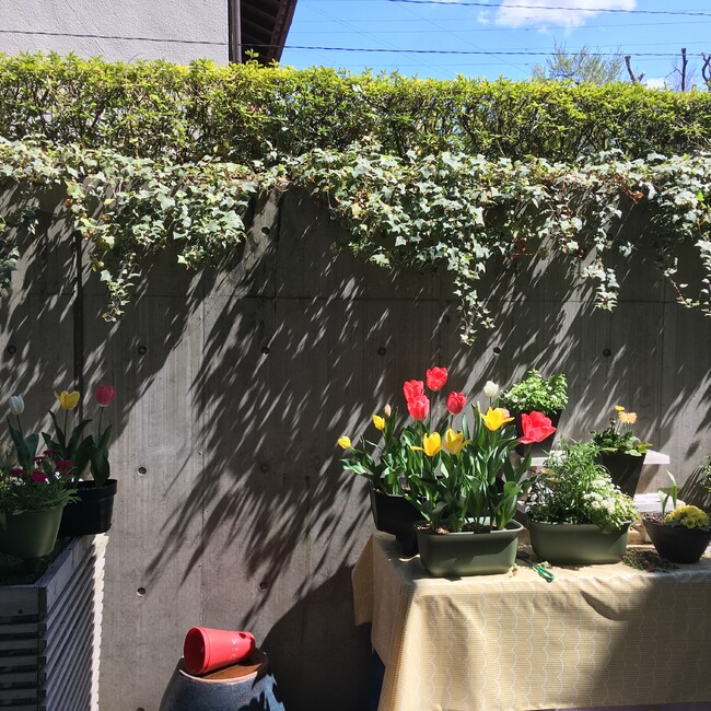 Tamkitiのカバー写真