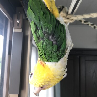 外を眺めるのが好き