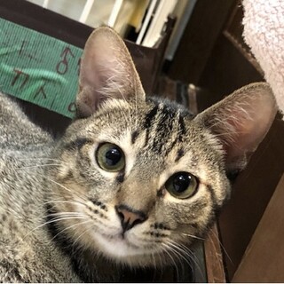 甘えん坊さんのかずなりくん