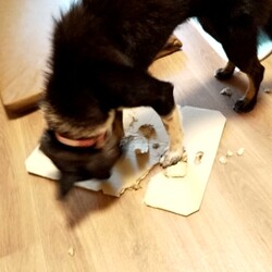 「なんやこうやで二週間直前」サムネイル1