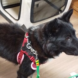 「なんやこうやで二週間直前」サムネイル2